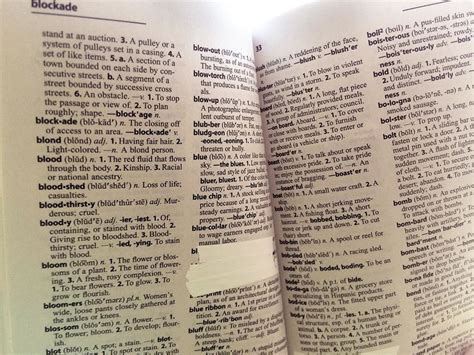 webster dictionary|webster dictionary page by page.